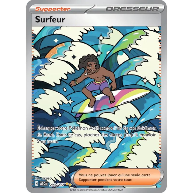 Surfeur 293/217