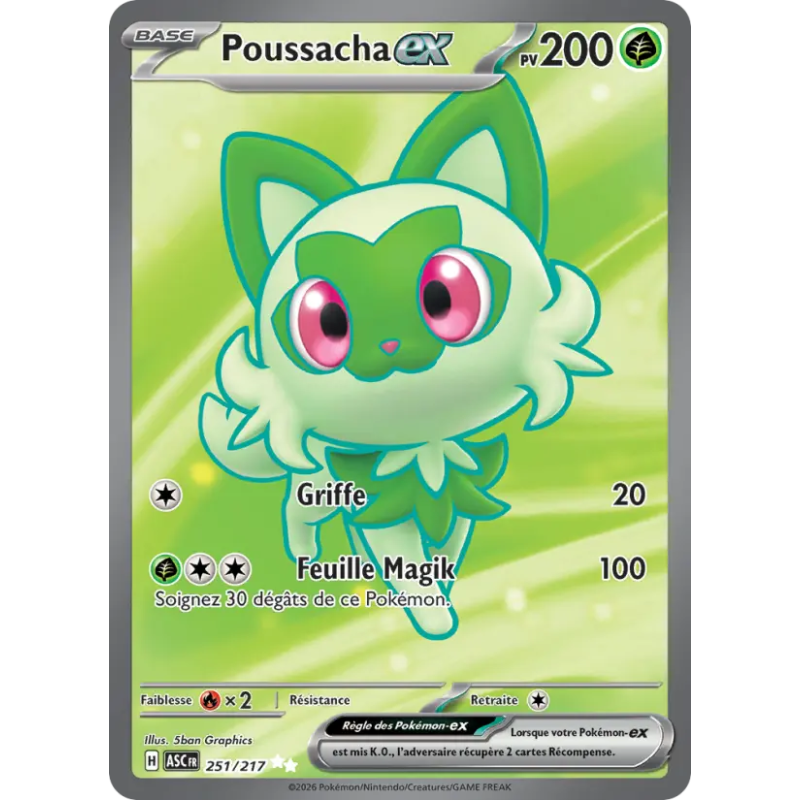 Poussacha EX 251/217