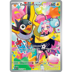 Zapétrel de Mashynn 231/217